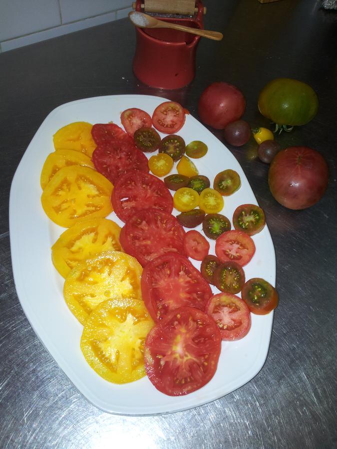 MarsáMas Figueres别墅 外观 照片